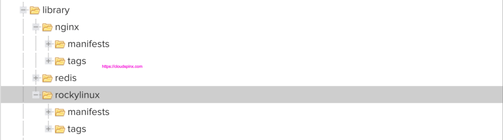 configure nexus container 02