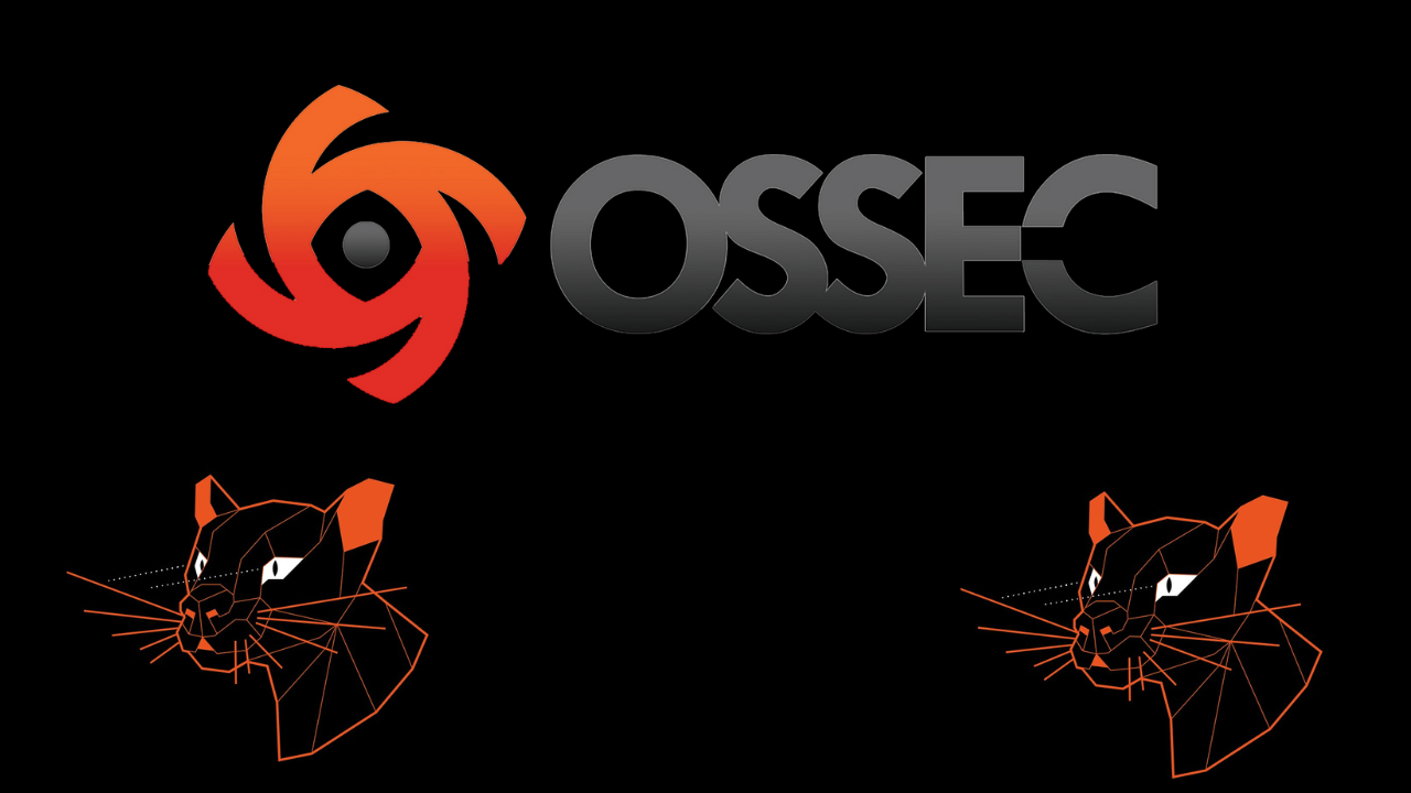 How To Install OSSEC HIDS Agent on Ubuntu 24.04|22.04 [Guide]