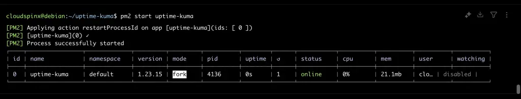 How To Run Kuma Uptime Robot Using PM2 02