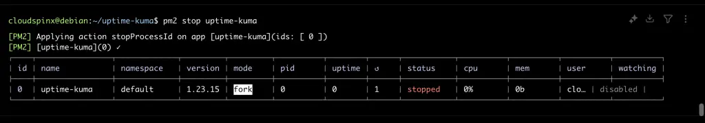 How To Run Kuma Uptime Robot Using PM2 03