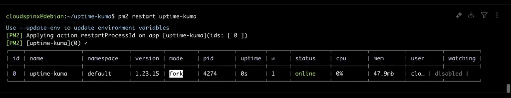 How To Run Kuma Uptime Robot Using PM2 04