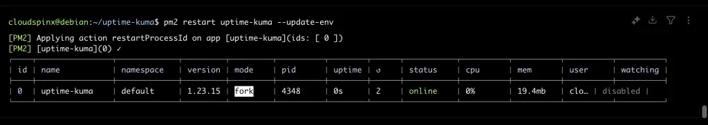How To Run Kuma Uptime Robot Using PM2 05