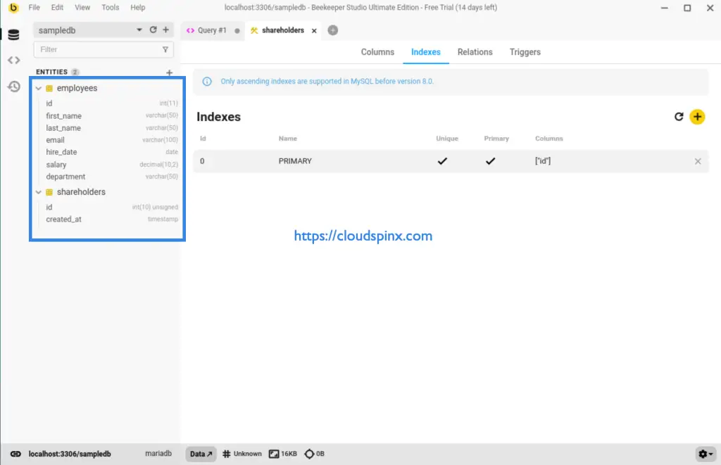 Install Beekeeper Studio on Debian 07