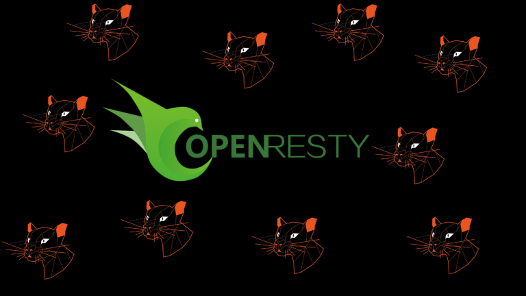 Install OpenResty Web Platform on Ubuntu Debian
