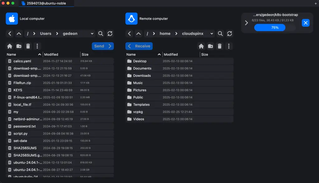 Install RustDesk Remote Desktop on Ubuntu 11
