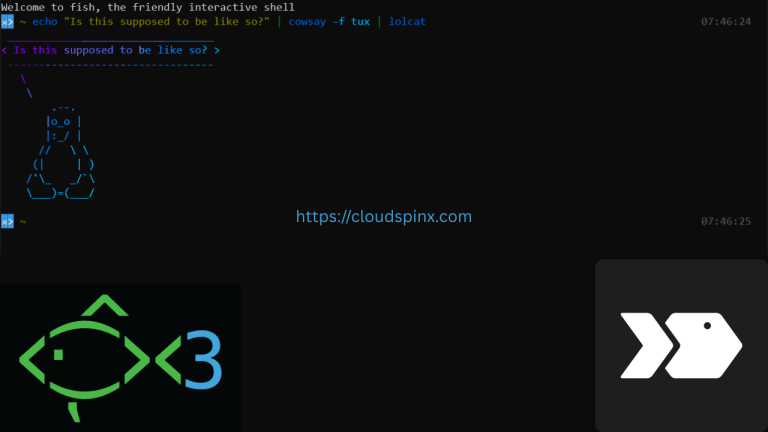 How To Configure Fish Shell with Oh My Fish