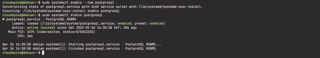 How To Install Wiki.js on Debian 03