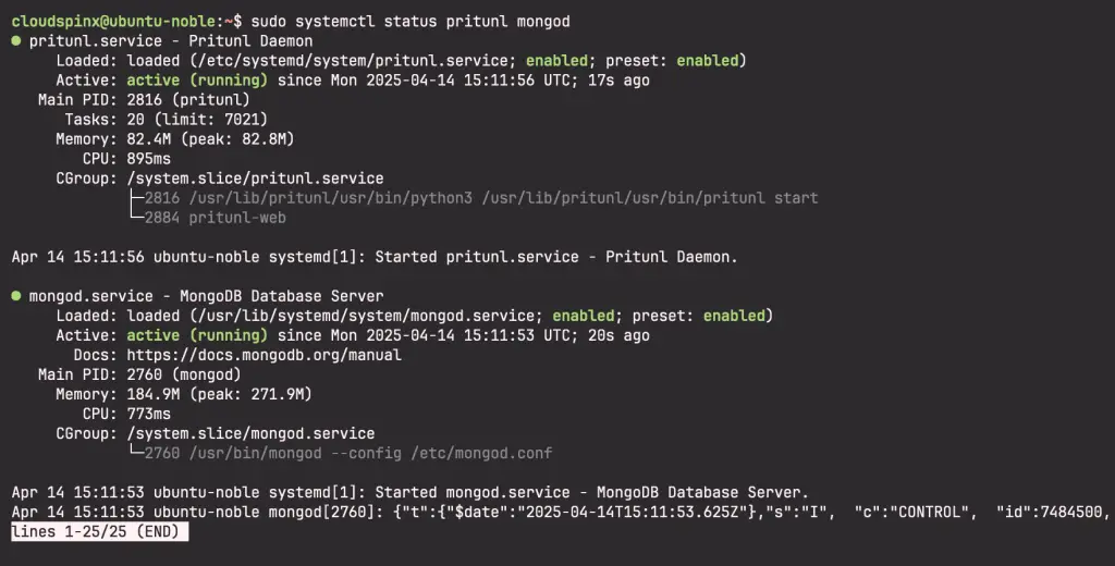 Install and Configure Pritunl VPN on Ubuntu 24.04 01
