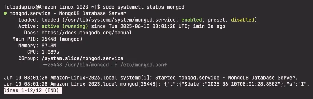 How To Install MongoDB 8.0 on Amazon Linux 2023 02
