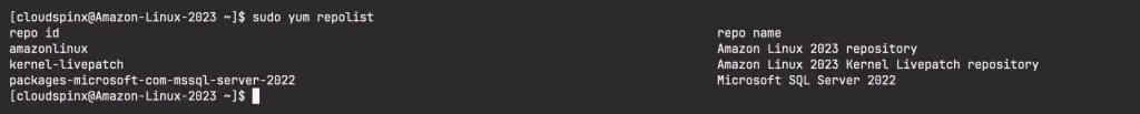 Install Microsoft SQL Server 2022 on Amazon Linux 2023 01