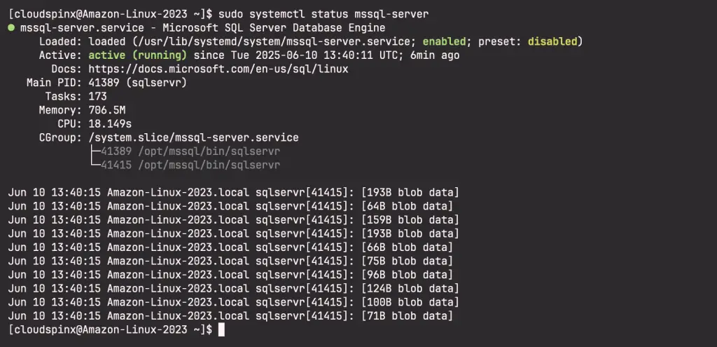 Install Microsoft SQL Server 2022 on Amazon Linux 2023 03