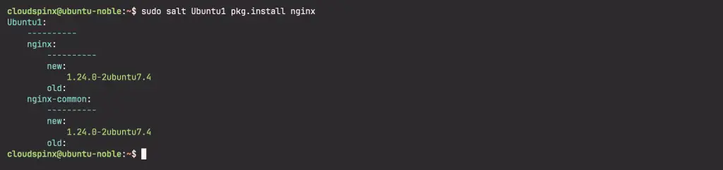 Install Saltstack Master Minion on Ubuntu 24.0 05
