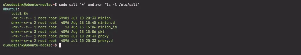 Install Saltstack Master Minion on Ubuntu 24.0 06