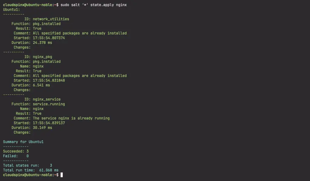 Install Saltstack Master Minion on Ubuntu 24.0 07