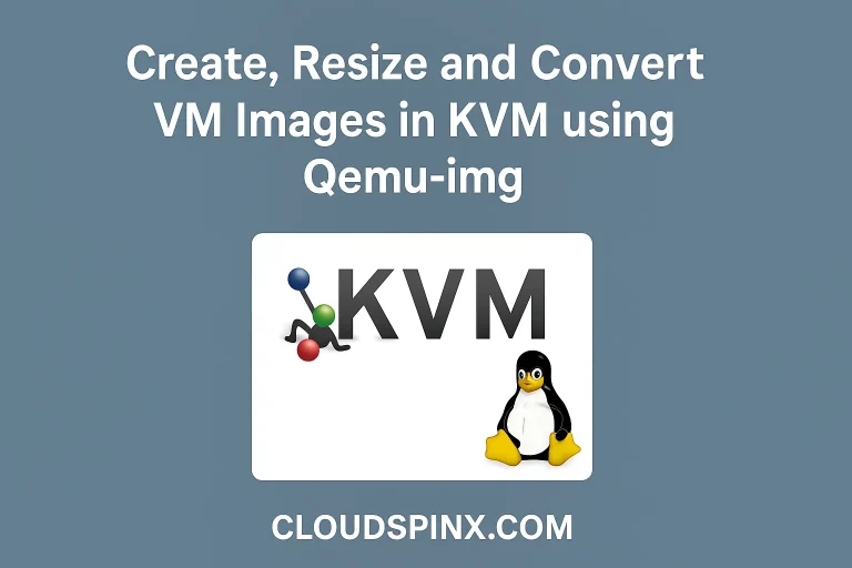 qemu img resize disks