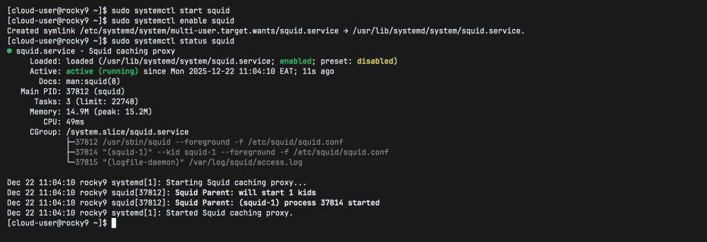 Install and Configure Squid Proxy Server on Rocky Linux 01