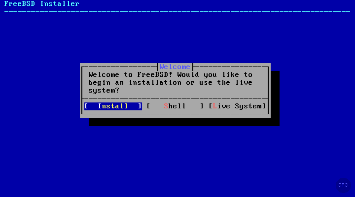 FreeBSD 15.0 installer welcome screen showing Install, Shell, and Live System options