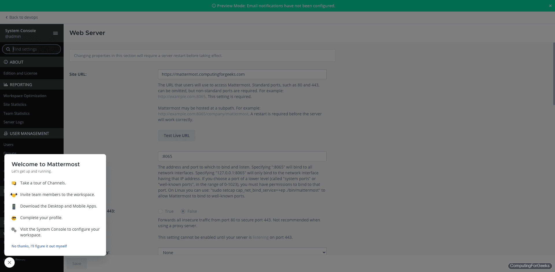 Mattermost System Console web server configuration showing site URL