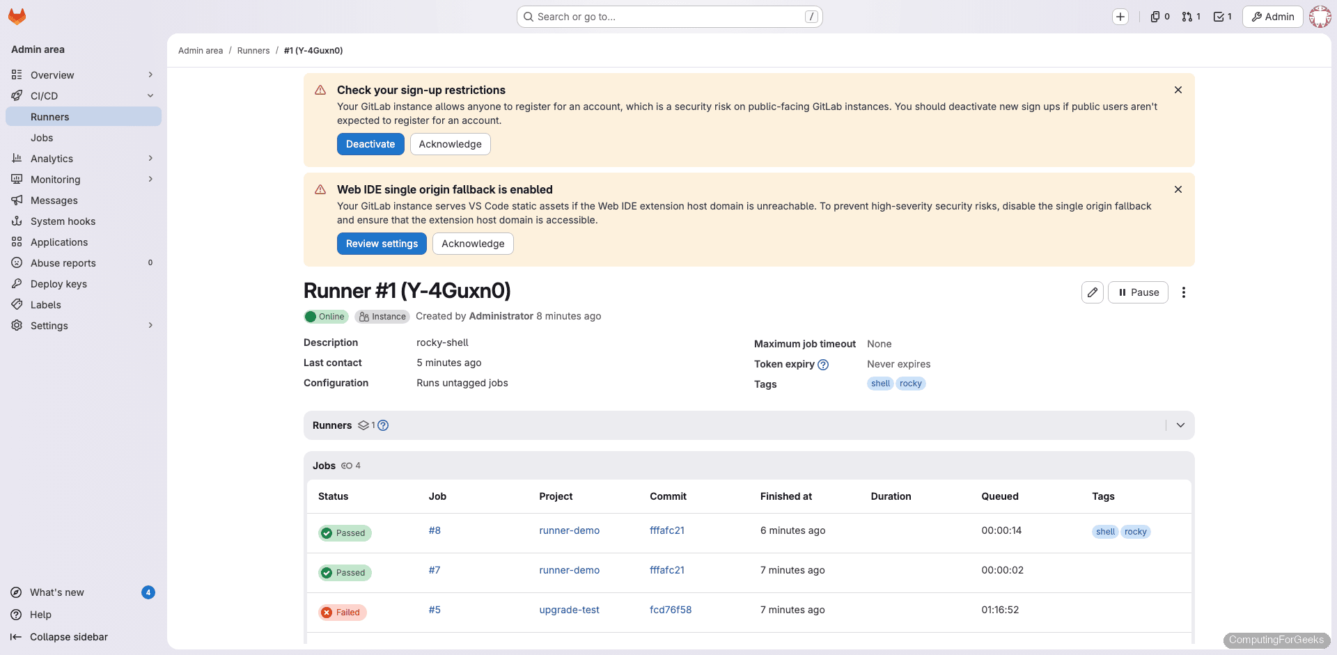 GitLab shell runner detail page showing online status and configuration