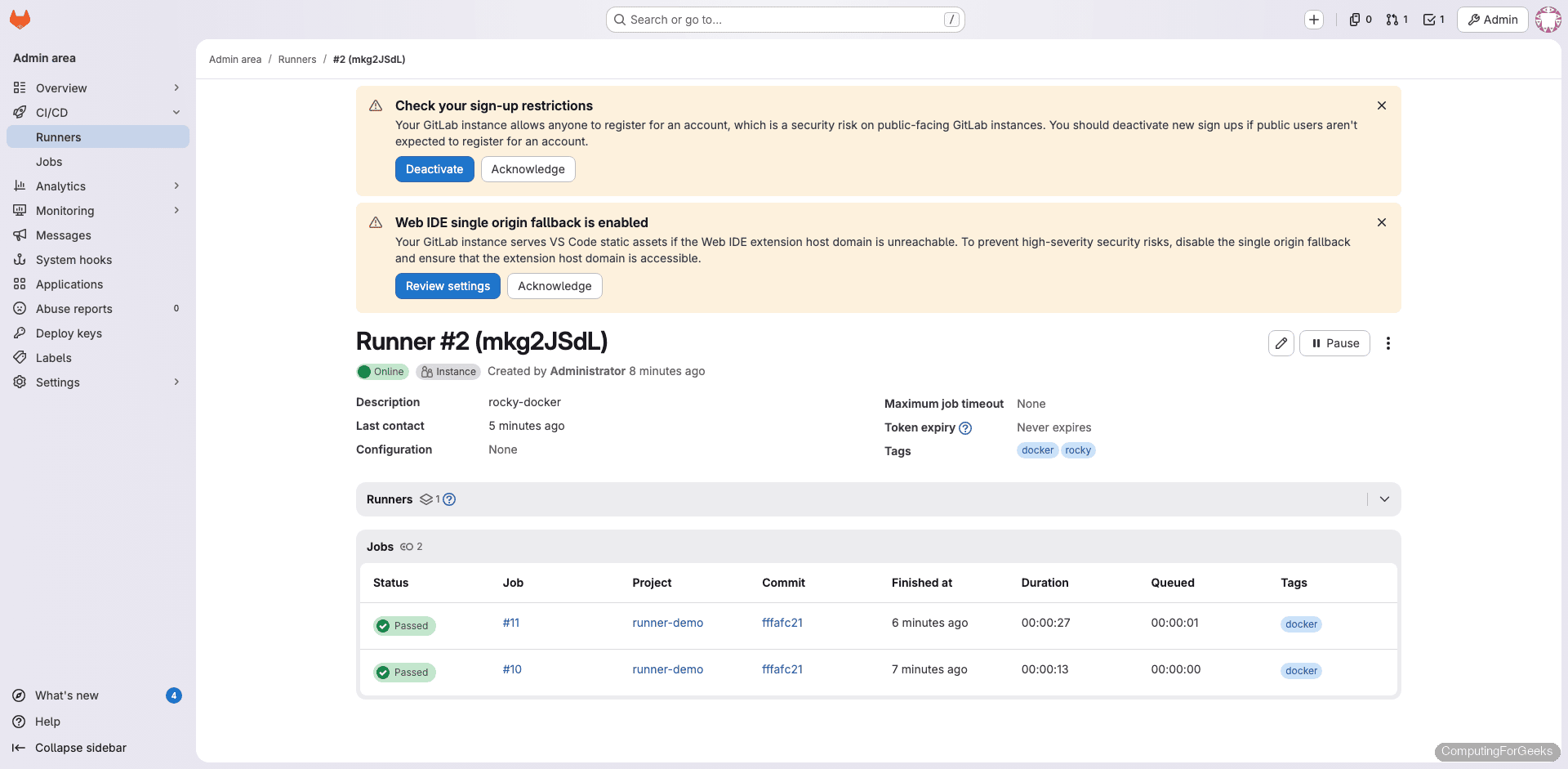 GitLab Docker runner detail page showing online status and Docker executor configuration