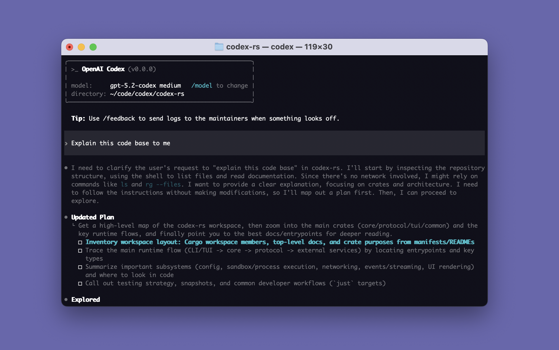 OpenAI Codex CLI terminal showing interactive coding session