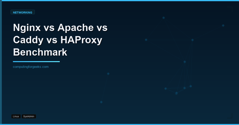 Web server and reverse proxy performance benchmark comparing Nginx, Apache, Caddy, and HAProxy