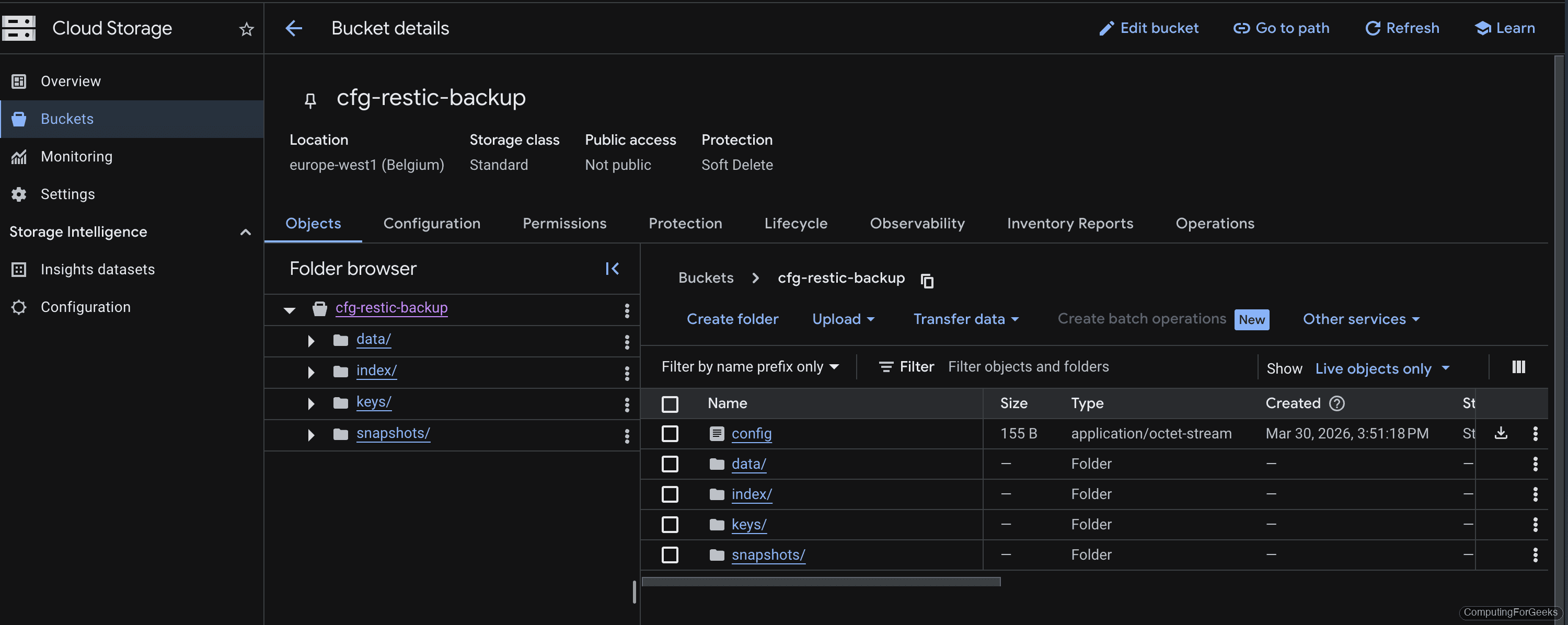 Google Cloud Storage bucket showing restic backup repository with config, data, index, keys, and snapshots folders
