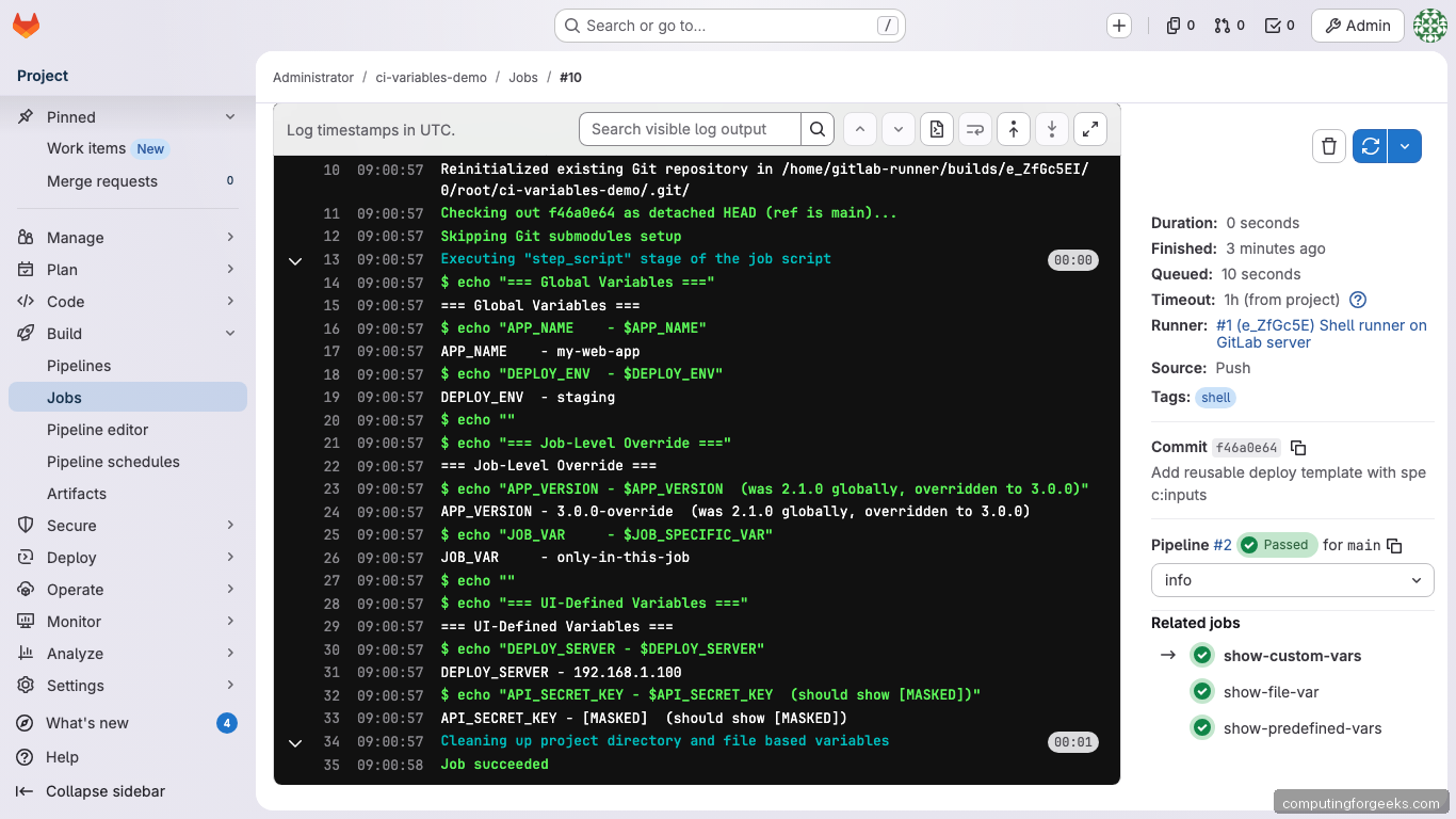 GitLab job showing custom and masked variables