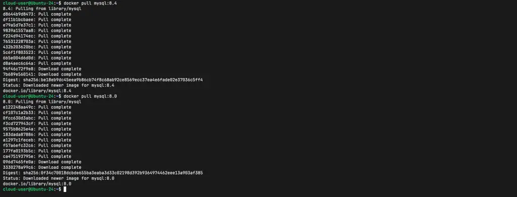 how to run mysql database in docker container 01