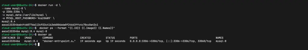 how to run mysql database in docker container 02