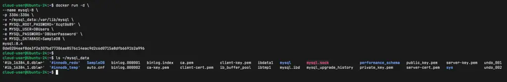 how to run mysql database in docker container 03