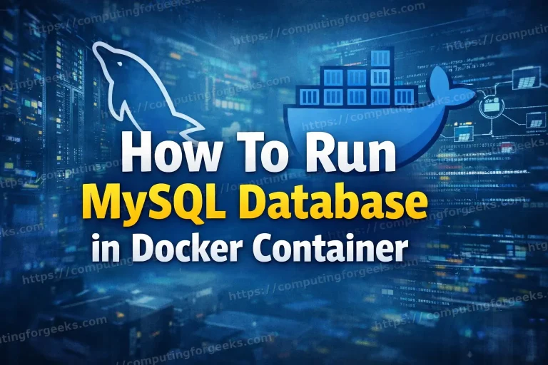 how to run mysql database in docker container