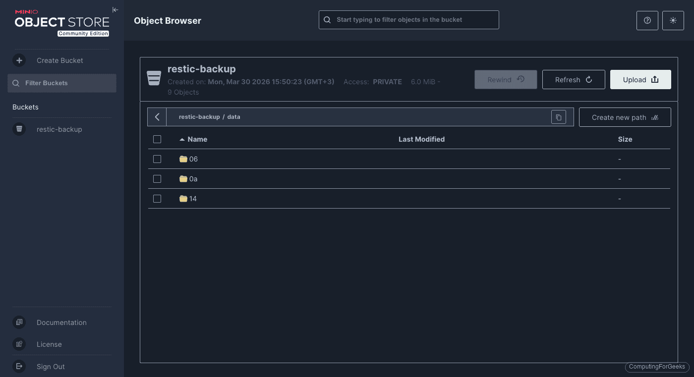 Restic encrypted data chunks stored in MinIO bucket data directory