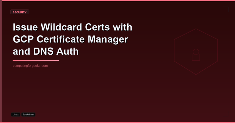 GCP Certificate Manager wildcard DNS authorization featured image