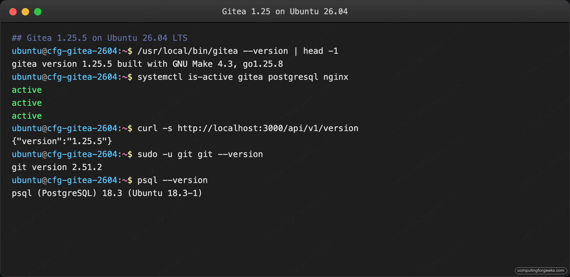 Gitea version check and service status on Ubuntu 26.04