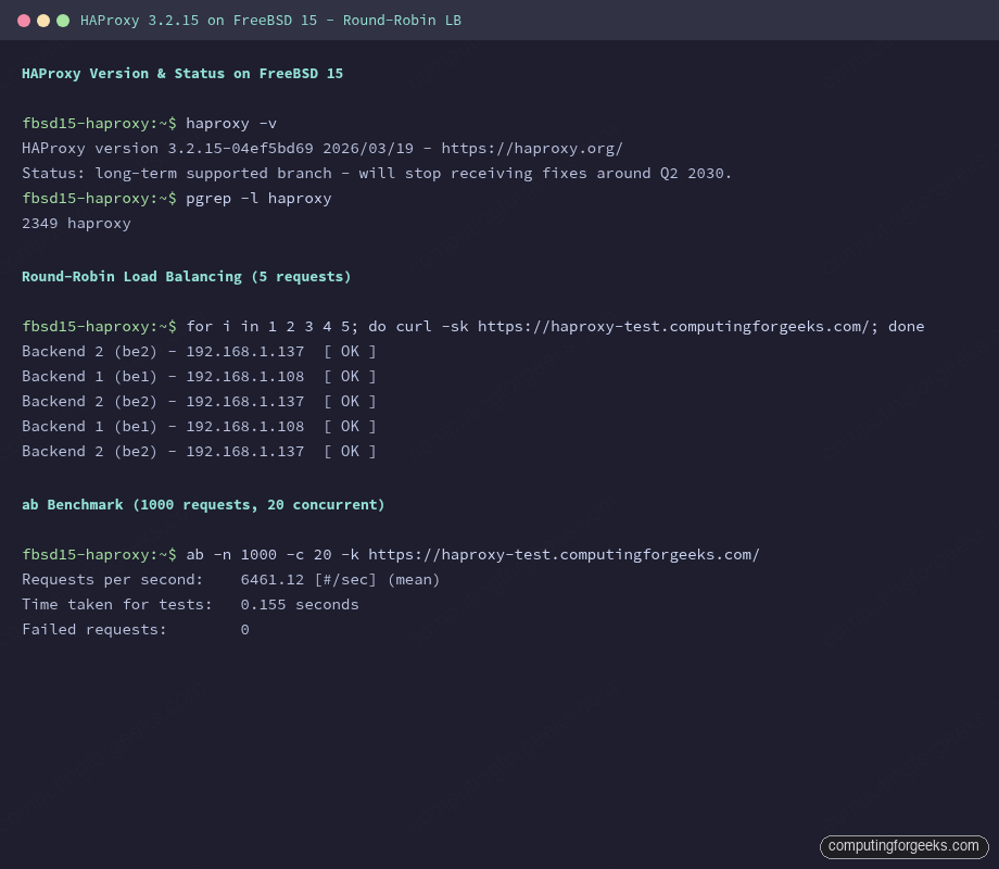 Install HAProxy on FreeBSD 15: L7 and L4 Load Balancing 2 HAProxy FreeBSD 15 round-robin load balancing test and ab benchmark results