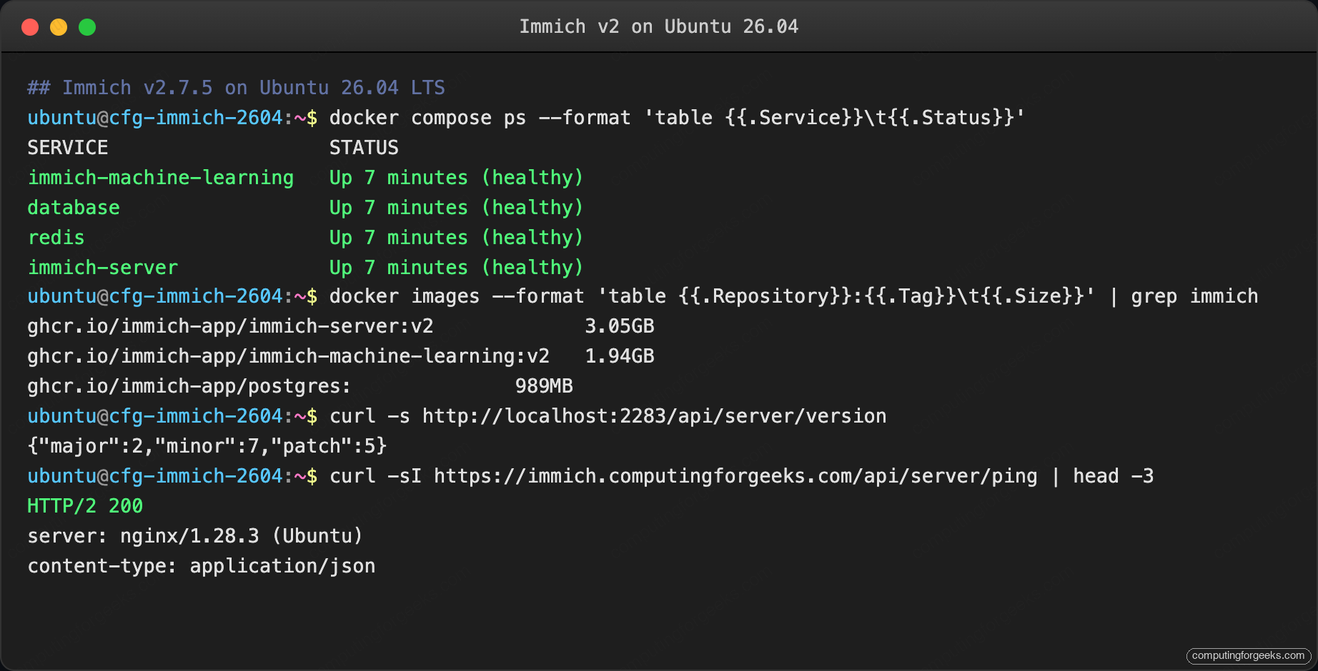 Immich Docker compose ps and API version check on Ubuntu 26.04