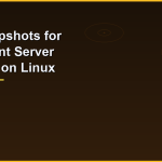 LVM Snapshots for Consistent Server Backups on Linux