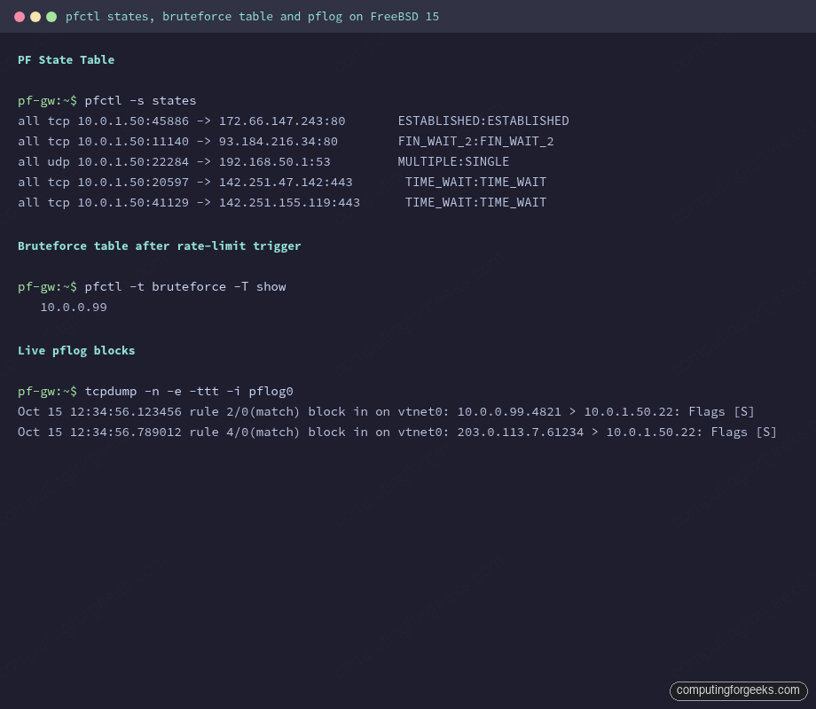 pfctl -s states output and bruteforce table on FreeBSD 15 showing PF state tracking and blocked IPs