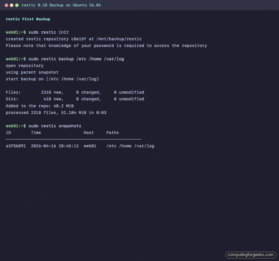 Ubuntu 26.04 Server restic First Backup