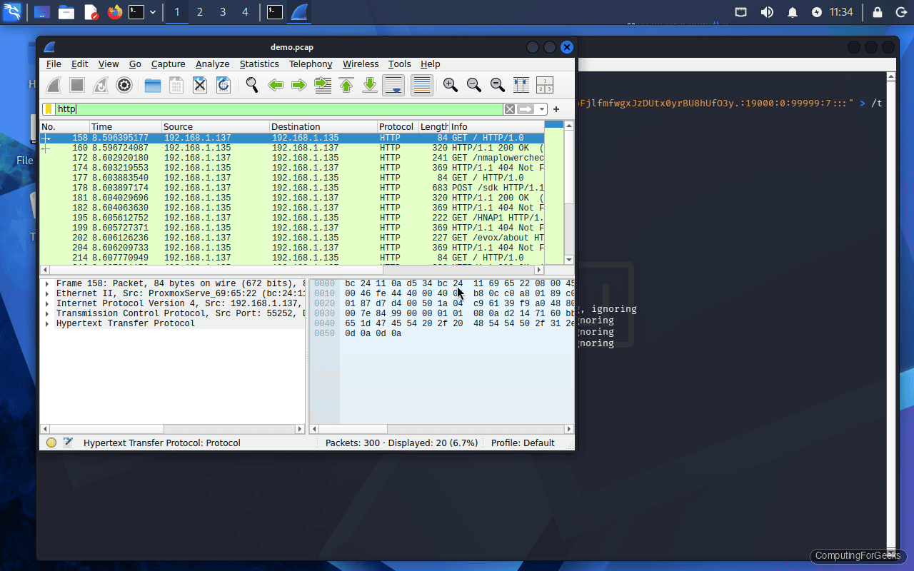 Wireshark HTTP display filter showing Nmap probe requests