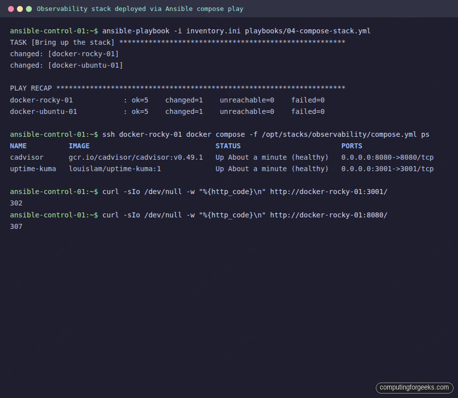 docker compose ps showing uptime-kuma and cadvisor healthy on both hosts after Ansible run