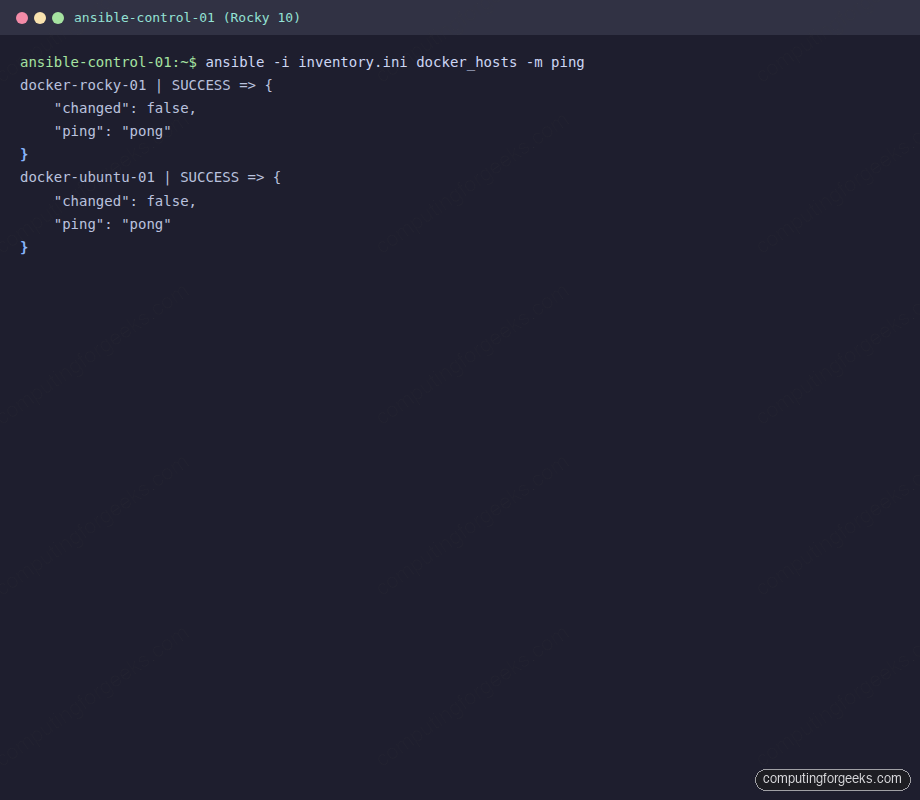 ansible ping output across docker hosts on Rocky 10 and Ubuntu 24.04