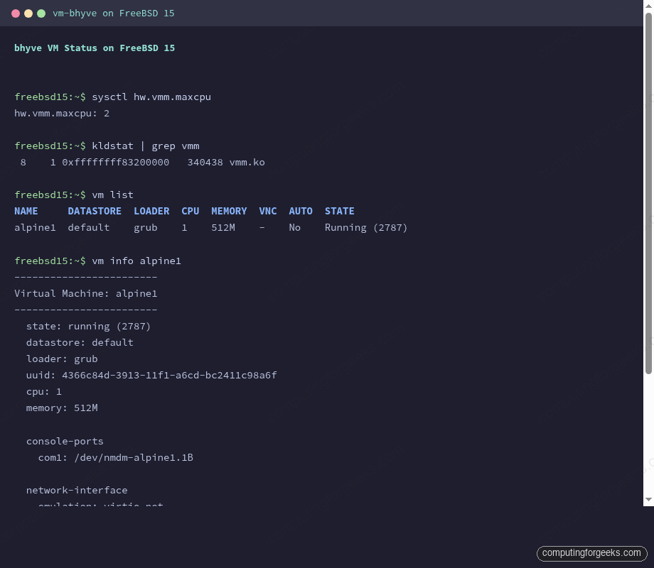 vm-bhyve list and info showing Alpine Linux running on FreeBSD 15