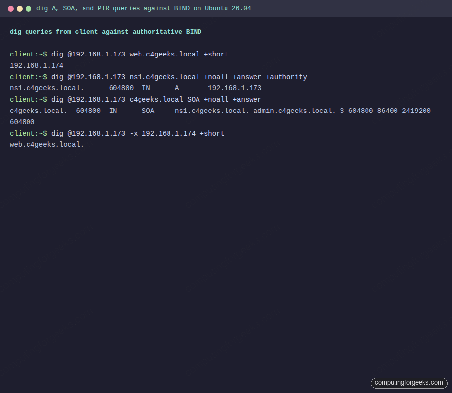 dig A, SOA, and PTR queries against BIND on Ubuntu 26.04 from the client VM