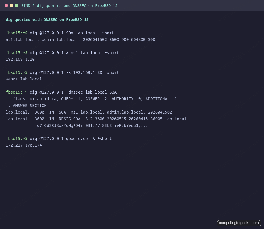 dig DNS query showing SOA record and DNSSEC RRSIG signature on FreeBSD 15