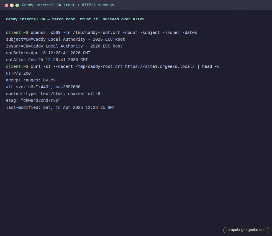 Caddy internal CA trusted and HTTP/2 response over HTTPS on Ubuntu 26.04