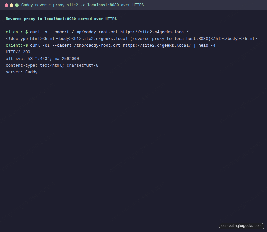 Caddy reverse proxy from site2.c4geeks.local to localhost 8080 over HTTPS