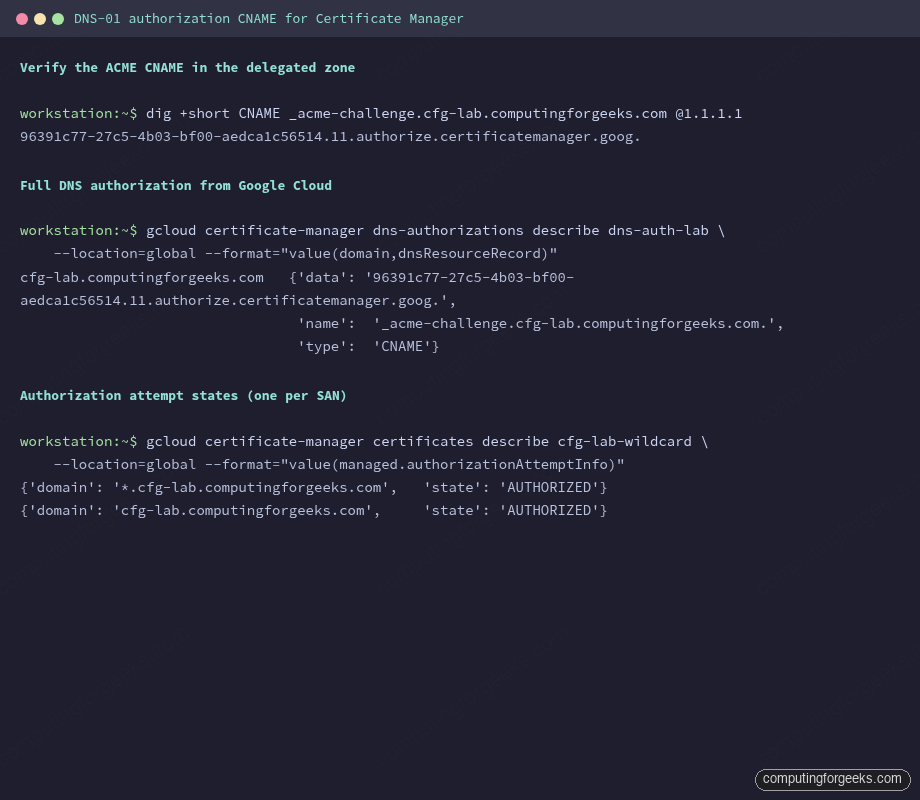 Terminal showing dig CNAME for _acme-challenge and gcloud dns-authorizations describe output