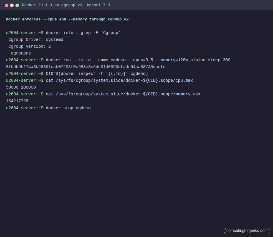 Docker 29.1.3 container with cpu and memory limits enforced by cgroup v2 on Ubuntu 26.04
